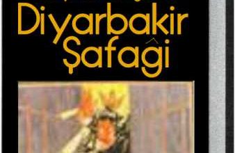 12eyll