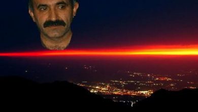 selimkaya