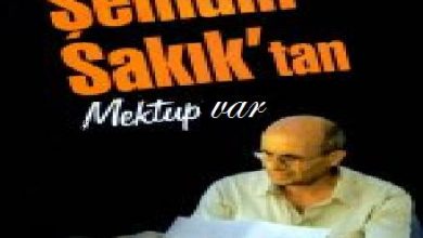 semdin