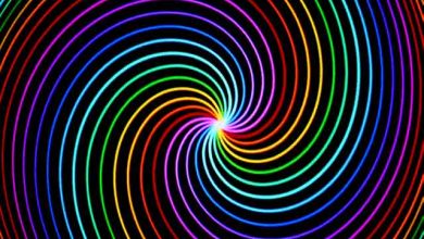 spin_vga