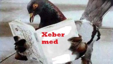 xeber