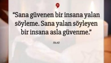 8eb2d3a7-04d8-4b61-be42-63fd082bb970-m